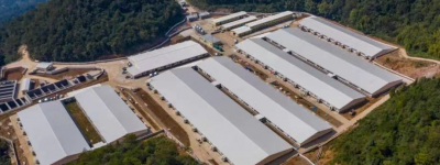 “China’s first stock of chilled poultry” completed the whole industrial chain layout of hogs