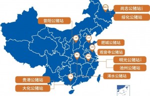 “Ten years to sharpen a good sword”–Shiji’s Swine Semen Business on the Fast Track to Growth