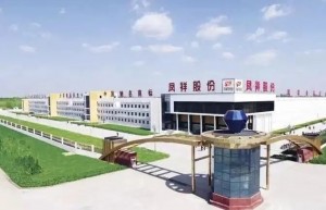 Net Loss of CNY 770 million ($ 111.65 million): From Possibly the Last Public Financial Report of China’s Largest White Broiler Exporter