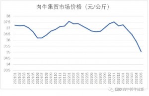 China Anticipates a 3.8 Million Ton Beef Surplus in 2023