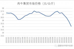 China Anticipates a 3.8 Million Ton Beef Surplus in 2023