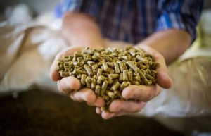 The world’s largest feed enterprise projected to save 1.5 million tons within five years