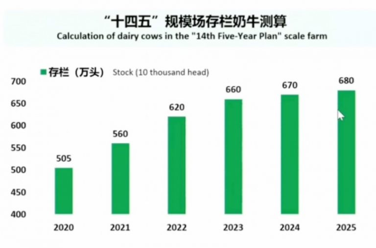 China's milk consumption growth rate determines development of dairy farming