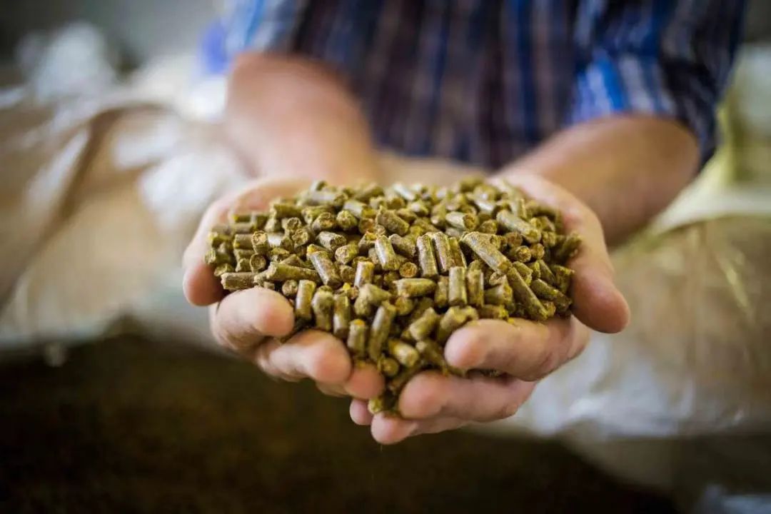 The world's largest feed enterprise projected to save  million tons  within five years