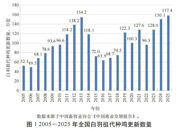 China broiler breeders hit new highs in 2025, deepening oversupply pressure